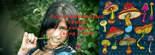 MESCALINE Инсар