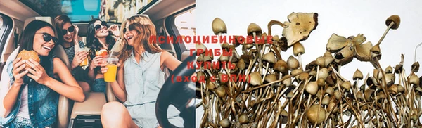 а пвп мука Иннополис