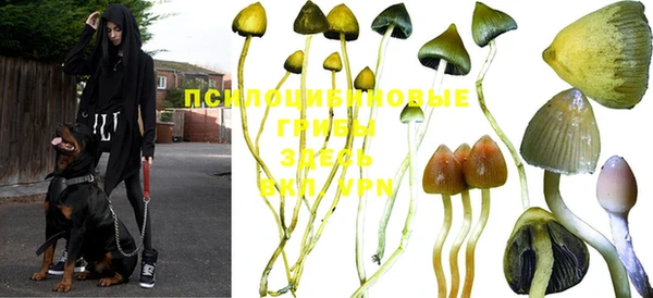 jwh Кодинск